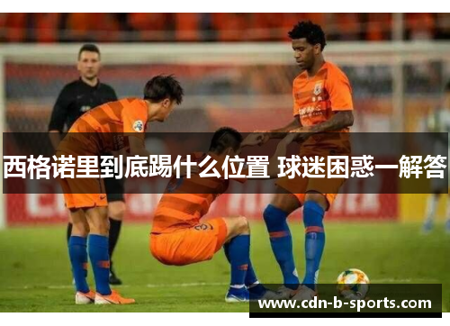 西格诺里到底踢什么位置 球迷困惑一解答