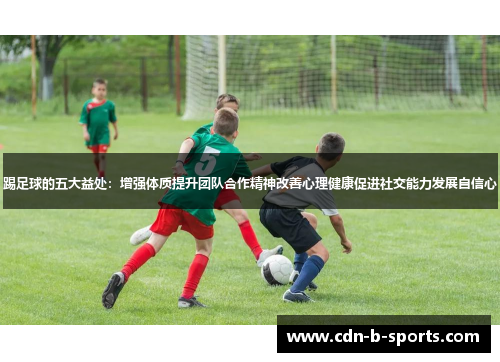 踢足球的五大益处：增强体质提升团队合作精神改善心理健康促进社交能力发展自信心