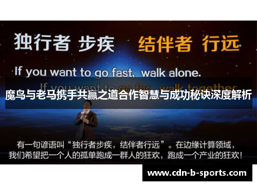 魔鸟与老马携手共赢之道合作智慧与成功秘诀深度解析