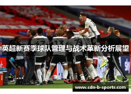 英超新赛季球队管理与战术革新分析展望
