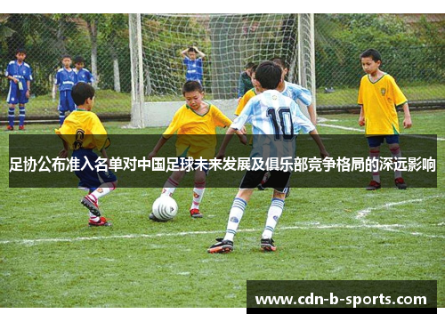 足协公布准入名单对中国足球未来发展及俱乐部竞争格局的深远影响