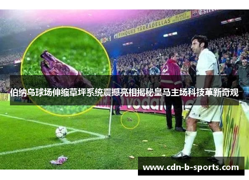 伯纳乌球场伸缩草坪系统震撼亮相揭秘皇马主场科技革新奇观 伯纳乌球场伸缩草坪系统震撼亮相揭秘皇马主场科技革新奇观