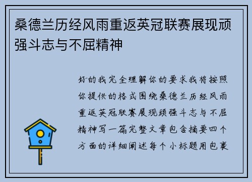 桑德兰历经风雨重返英冠联赛展现顽强斗志与不屈精神